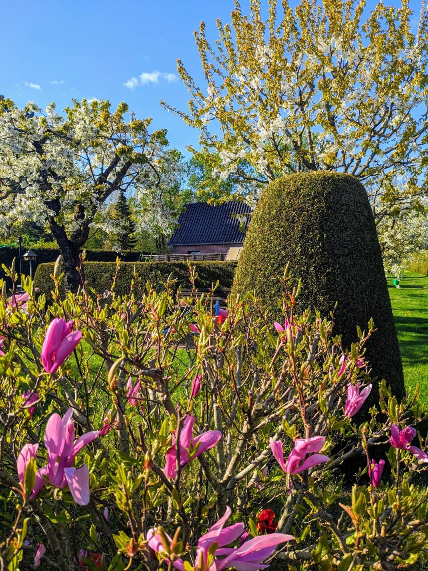 Villa Haeuschen Im Gruenen à Jornstorf Extérieur photo