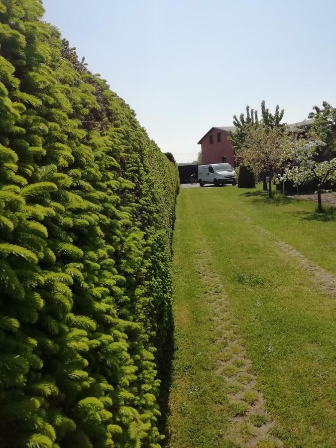 Villa Haeuschen Im Gruenen à Jornstorf Extérieur photo
